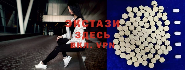 шишки Аркадак