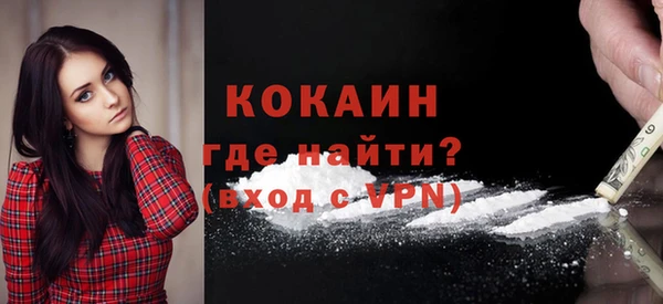 шишки Аркадак