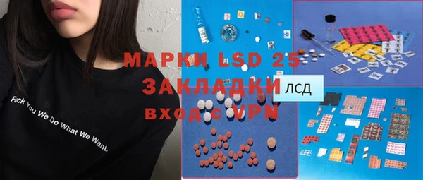 шишки Аркадак