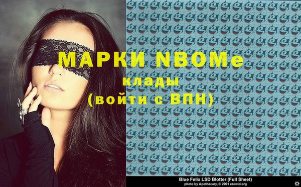 шишки Аркадак
