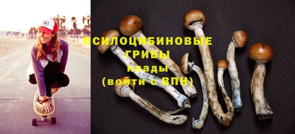 прущие крисы Арсеньев