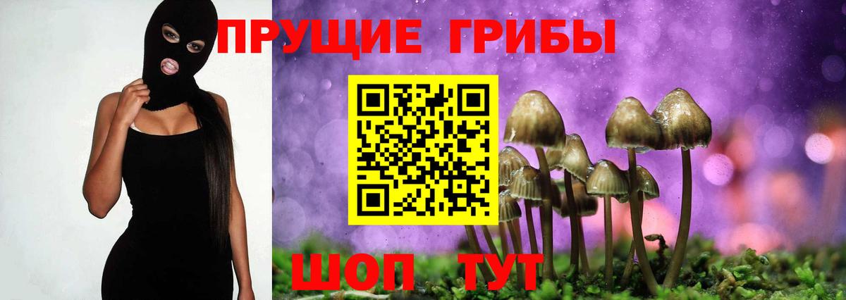 Аша  Псилоцибиновые грибы прущие грибы  Галлюциногенные грибы прущие грибы  Вход с VPN 