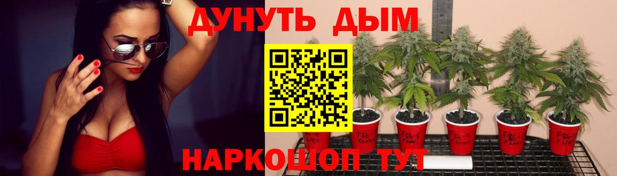 Канабис VHQ  Вход с VPN  Каннабис ГИДРОПОН  Аша 
